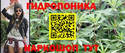 jwh Рузаевка
